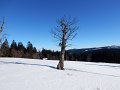 DSCN6227