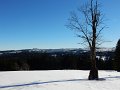 DSCN6247